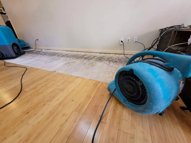 Professional Structural Drying technician working in Vandemere, NC